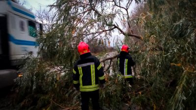 Рятувальники очищують автошлях від поваленого дерева, 28 жовтня 2023, Хмельниччина Рятувальники очищують автошлях від поваленого дерева, 28 жовтня 2023, Хмельниччина