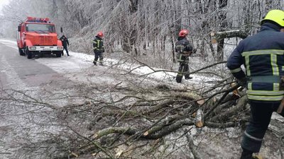Через повалені дерева в заторі на Житомирщині опинився шкільний автобус