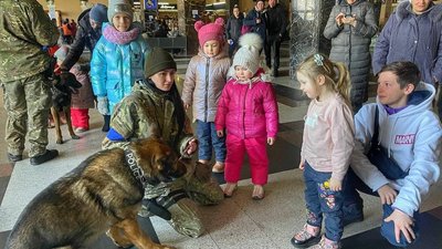 Песики-психологи на вокзалі Песики-психологи на вокзалі