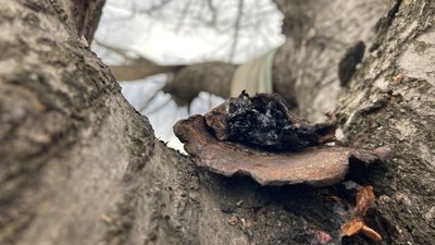 "Прошу Бога їх покарати": як у селі Яковлівка на Харківщині за рік після авіаудару відновлюється життя "Прошу Бога їх покарати": як у селі Яковлівка на Харківщині за рік після авіаудару відновлюється життя