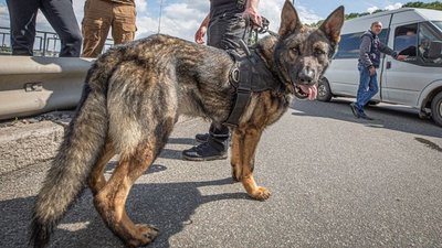 У Києві чоловік погрожував підірвати міст "Метро", його затримали. СУСПІЛЬНЕ | ВІДЕОНОВИНИ