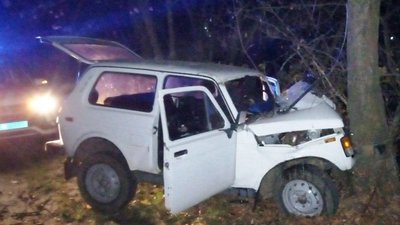 Смертельна ДТП у Прилуках: 28-річний водій на «Ниві» врізався в дерево