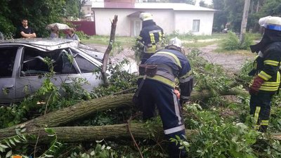 Повалені дерева та розтрощені автівки: наслідки негоди на Дніпропетровщині