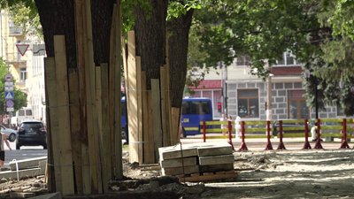 У Чернігові екоактивісти рятували дерева від будівельної техніки