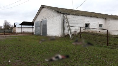 Загиблі тварини Загиблі тварини