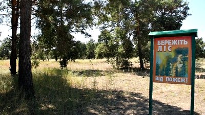 На Кінбурнському півострові, що на Миколаївщині, встановили камери для моніторингу лісових пожеж На Кінбурнському півострові, що на Миколаївщині, встановили камери для моніторингу лісових пожеж