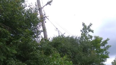 Жителі села Верняки понад місяць без електропостачання Жителі села Верняки понад місяць без електропостачання