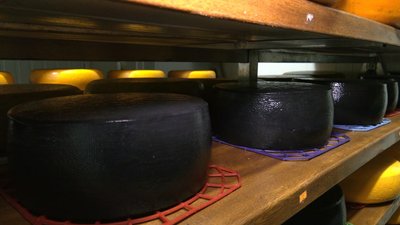Сири виробника із Сум відзначили на міжнародному конкурсі