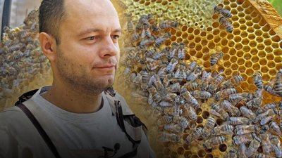 пасічник Олег Старченко