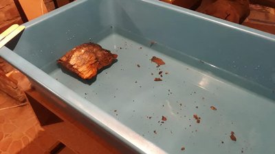 На Прикарпатті почали досліджувати архівні документи ОУН, які знайшли в закопаному бідоні На Прикарпатті почали досліджувати архівні документи ОУН, які знайшли в закопаному бідоні