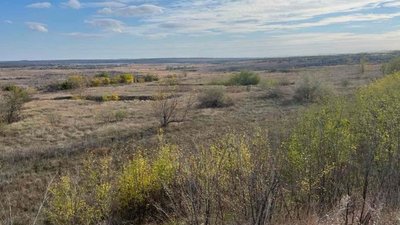 Земля, лісовий фонд, продаж, суд