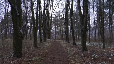 Пам'ять про трагедію євреїв у Косові на Гуцульщині Пам'ять про трагедію євреїв у Косові на Гуцульщині