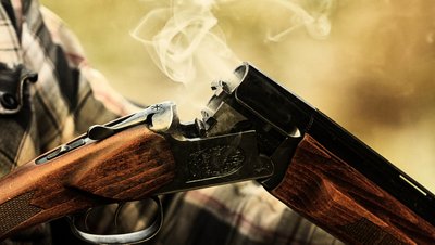Застрелив вагітну оленицю у Нацпарку "Синевир": браконьєра засудили до 180 годин громадських робіт
