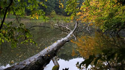 Сухо і тепло. Погода на Кіровоградщині на вихідні