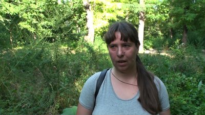 У Запоріжжі влаштували чемпіонат зі збору амброзії У Запоріжжі влаштували чемпіонат зі збору амброзії