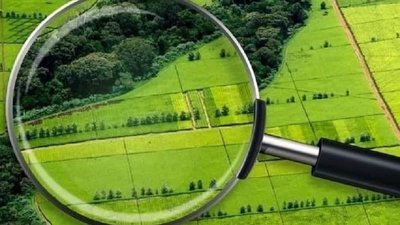 На Сумщині з приватної власності повернули землю природно-заповідного фонду вартістю 5 мільйонів