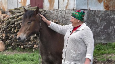 Болото замість городу: чи варто сподіватися на хороший урожай після водопілля Болото замість городу: чи варто сподіватися на хороший урожай після водопілля