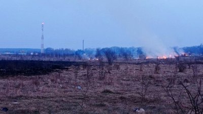 Намагався втекти. На Франківщині затримали палія трави Намагався втекти. На Франківщині затримали палія трави