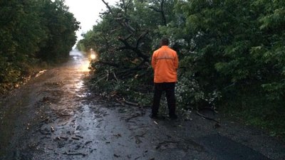Наслідки зливи та буревію на Кіровоградщині: зігнуті вітром дорожні знаки і повалені дерева Наслідки зливи та буревію на Кіровоградщині: зігнуті вітром дорожні знаки і повалені дерева