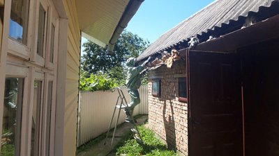 Прикарпаття "окупували" шершні Прикарпаття "окупували" шершні