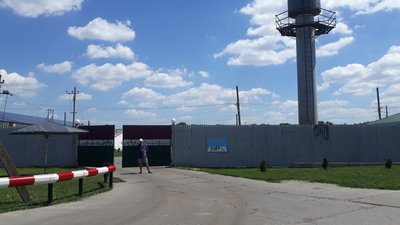Відходи вивозять з підприємства "Колос". Тут вирощують свиней. Відходи вивозять з підприємства "Колос". Тут вирощують свиней.