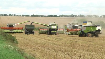 Аграрії збирають врожай на полі