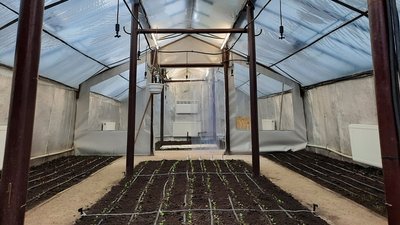 Уроки у теплиці. На Донеччині школярі вирощують овочі у власноруч спроєктованій теплиці