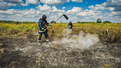 Рятувальники гасять пожежу на полях