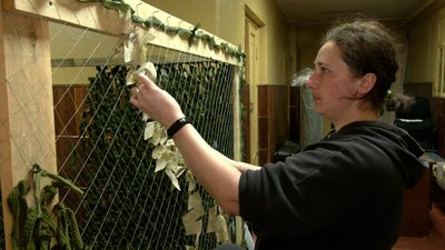 Підприємець з Городні винайшов верстат для розрізання тканини для маскувальних сіток Підприємець з Городні винайшов верстат для розрізання тканини для маскувальних сіток