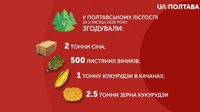 Під Полтавою підгодовують диких тварин