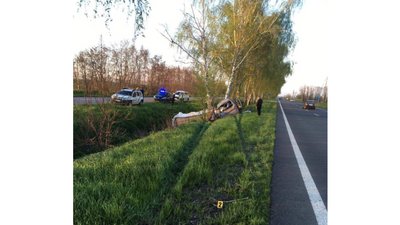В’їхав у дерево: на Черкащині загинув чоловік В’їхав у дерево: на Черкащині загинув чоловік