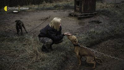 Як волонтери рятують тварин на звільненій Київщині