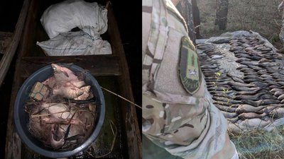 Збитки на майже два мільйони гривень: на Черкащині виявили незаконний вилов риби Збитки на майже два мільйони гривень: на Черкащині виявили незаконний вилов риби