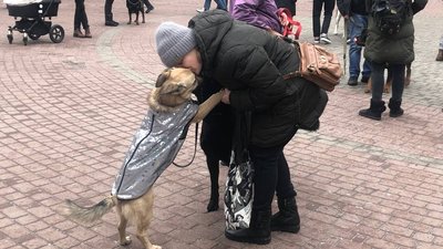 В Івано-Франківську відбувся перший різдвяний парад собак В Івано-Франківську відбувся перший різдвяний парад собак