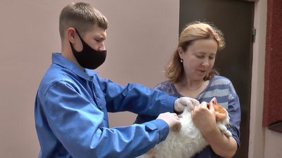 У Полтавській громаді позапланово щеплюють тварин через випадок сказу
