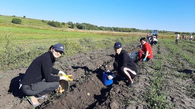 У Лихівській громаді Дніпропетровщини зібрали перший урожай за програмою "Сади Перемоги". Де ще діє проєкт У Лихівській громаді Дніпропетровщини зібрали перший урожай за програмою "Сади Перемоги". Де ще діє проєкт