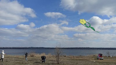 В небо над Миколаївщиною запустили семиметрові тюльпани В небо над Миколаївщиною запустили семиметрові тюльпани