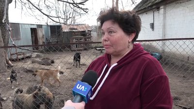 На Житомирщині зооволонтери допомагають покинутим через війну тваринам На Житомирщині зооволонтери допомагають покинутим через війну тваринам