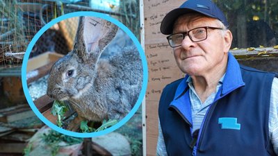 Херсон, Олександр Семенченко, кролі, евакуація, тварини