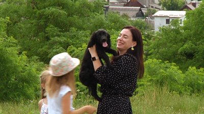 У Житомирі планують збудувати тренувально-вигульний майданчик для собак