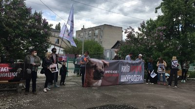 На Житомирщині зоозахисники протестували під судом, де розглядають справу про катування тварин На Житомирщині зоозахисники протестували під судом, де розглядають справу про катування тварин