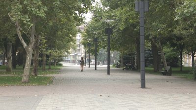 У Дніпрі сухе дерево впало на перехожого: у чоловіка переломи обох ніг У Дніпрі сухе дерево впало на перехожого: у чоловіка переломи обох ніг
