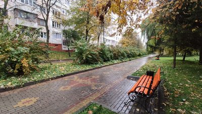 У Тернополі хочуть оштрафувати пенсіонера, який підрізав кущі біля свого будинку У Тернополі хочуть оштрафувати пенсіонера, який підрізав кущі біля свого будинку