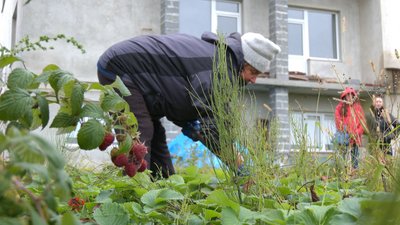 Селяни та фермери Івано-Франківської громади зможуть отримати дотації. Що відомо