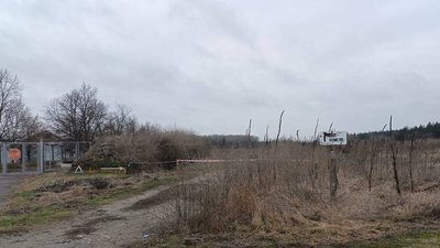 Міни Вільхуватка Міни Вільхуватка