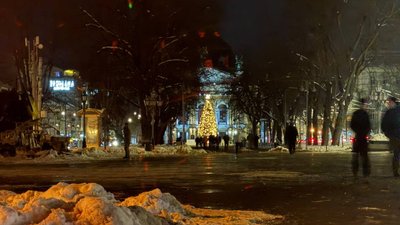 Ялинка у Львові