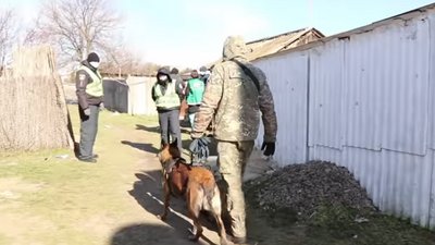 Смерть семирічної Марійки Борисової, яку чотири доби шукали на Херсонщині, була насильницькою Смерть семирічної Марійки Борисової, яку чотири доби шукали на Херсонщині, була насильницькою
