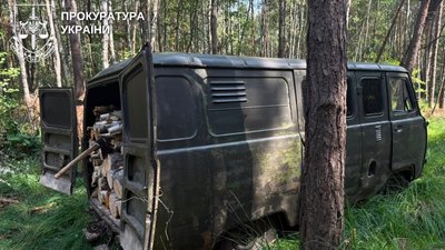 Деревина