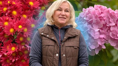 Квіти у Чернігові: жінка після влучання авіабомби відновила колекцію квітів