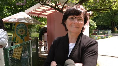 Підготовка парку Підготовка парку
